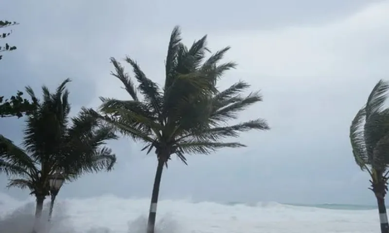 Siêu bão Beryl ‘tấn công’ các đảo thuộc vùng Caribe