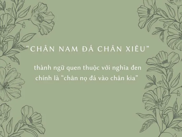 voh-chan-nam-da-chan-chieu-1