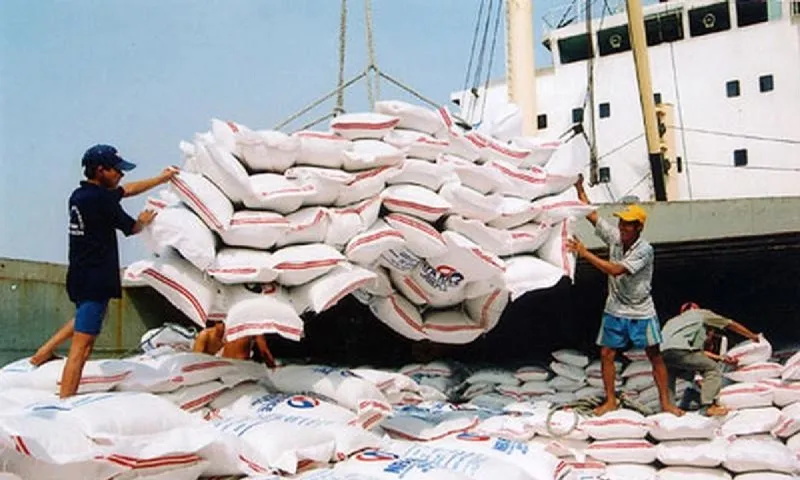 Xuất khẩu gạo chỉ tăng 10,4% về lượng nhưng tăng mạnh 32% về giá trị