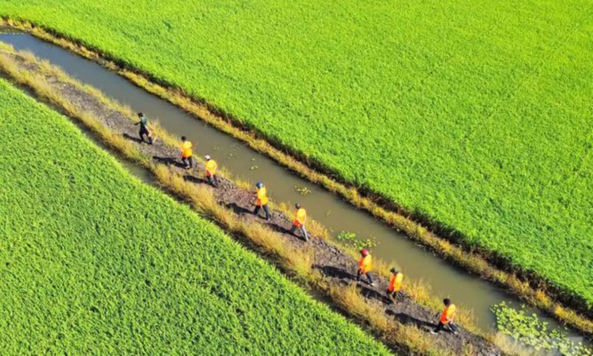 Tin phát triển bền vững ngày 3/7: Đồng bằng sông Cửu Long sản xuất xanh vì nền nông nghiệp bền vữn