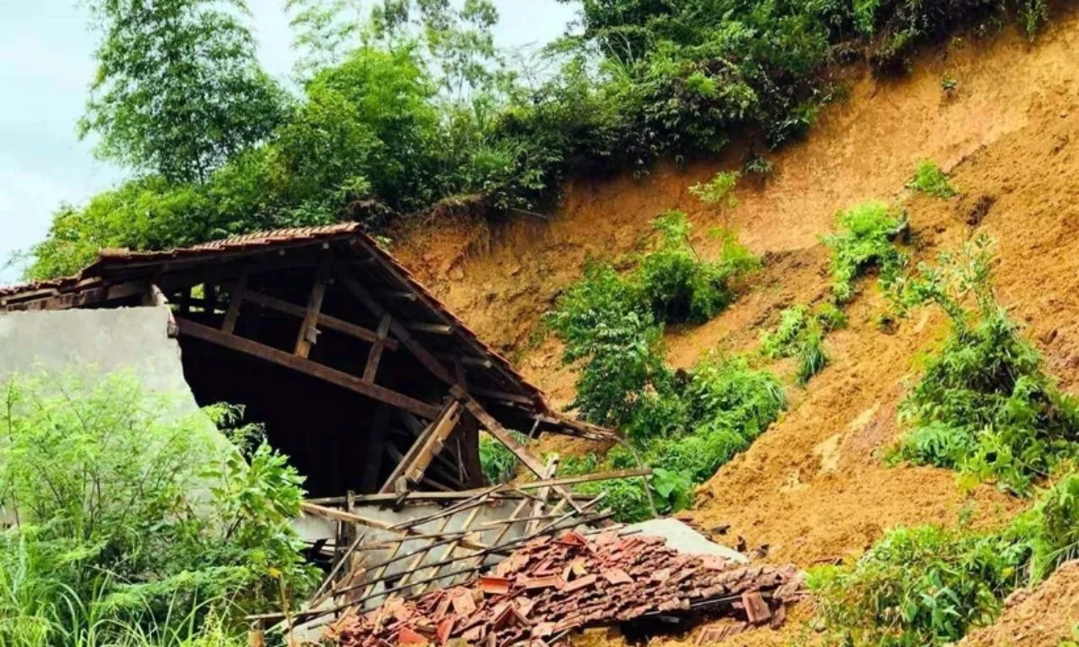 mua-lu-lang-son-7138