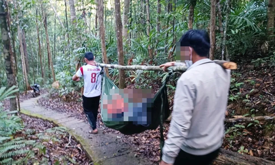 Tham quan thác K50, nữ du khách thiệt mạng vì cây rừng đổ vào người