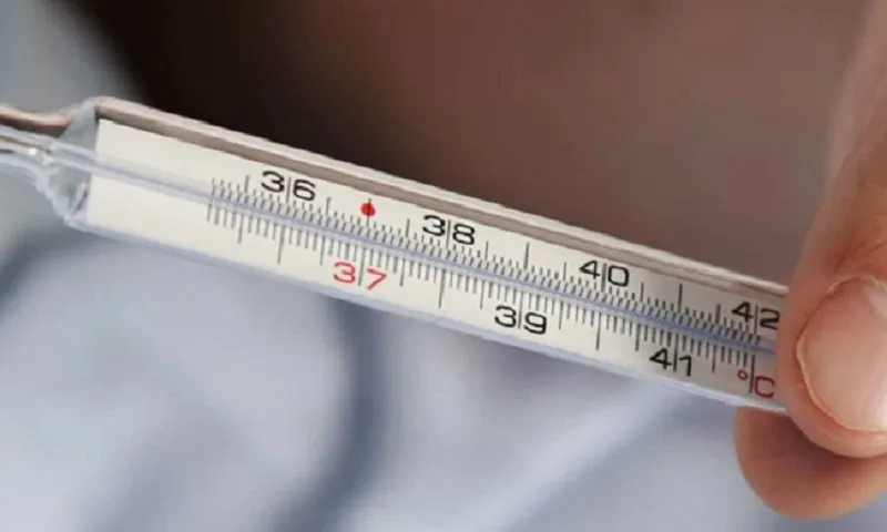 Nhiễm độc thuỷ ngân có thể gây hậu quả nghiêm trọng