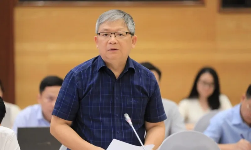 Hoang Anh Tuyen dai an 2024