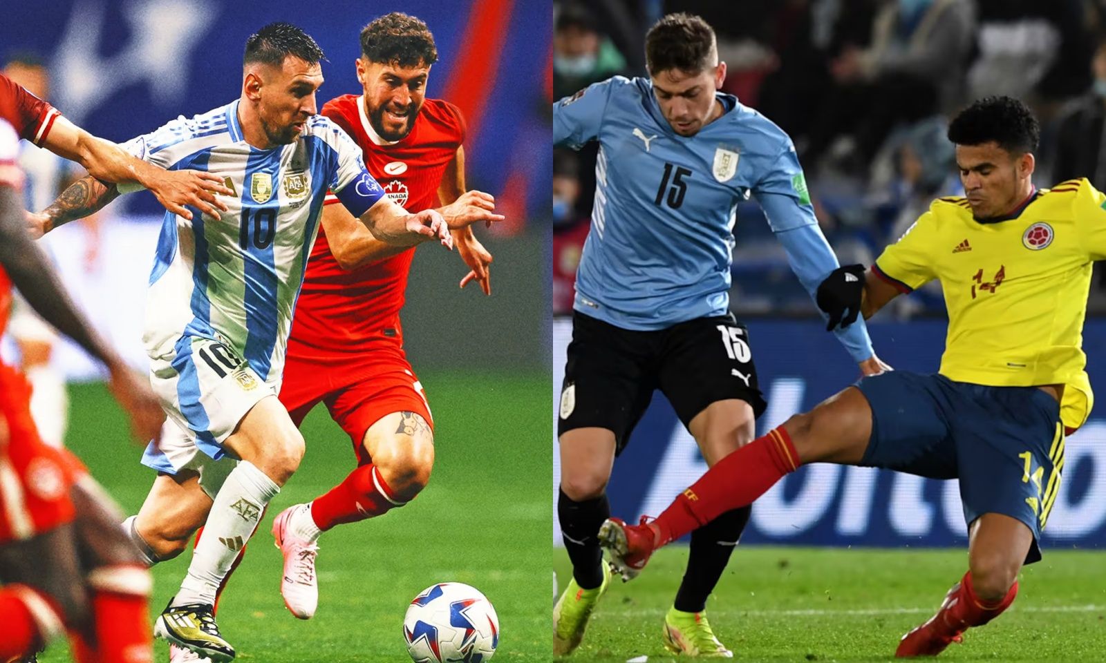 Lịch thi đấu Bán kết Copa America 2024: Argentina vs Canada | Uruguay vs Colombia