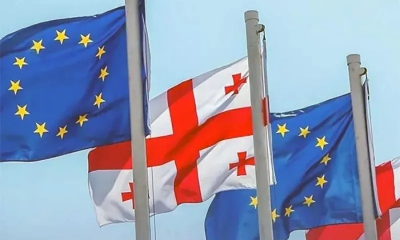 EU đình chỉ quá trình kết nạp Gruzia