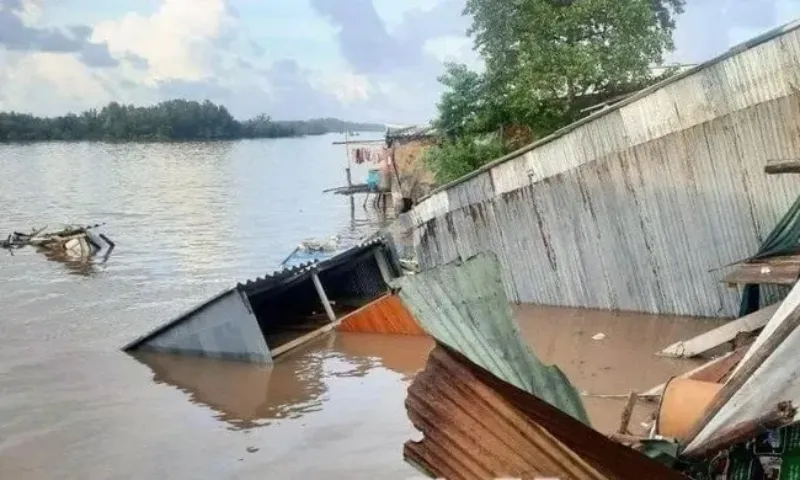 Cà Mau: Sạt lở gây ảnh hưởng nhiều căn nhà, thiệt hại hàng tỷ đồng 