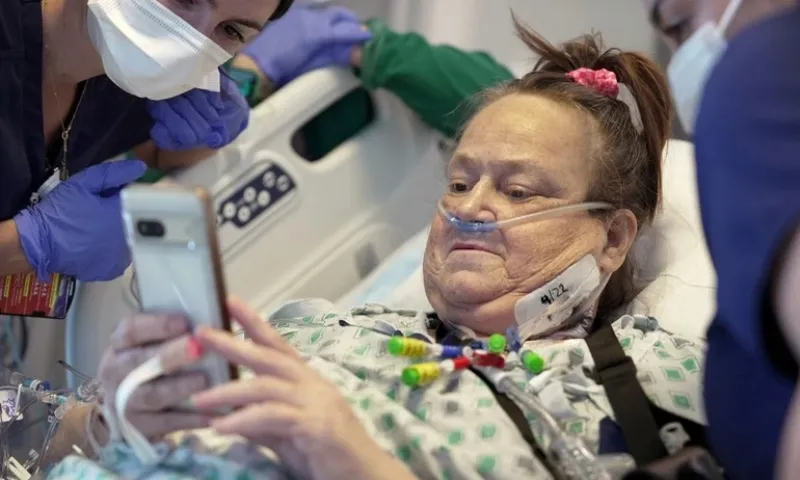 Thêm một bệnh nhân ghép thận của heo và tử vong sau đó