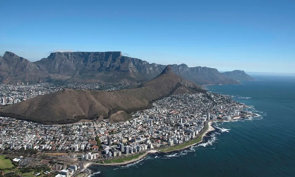 Nam Phi: Hải cẩu chết hàng loạt trên bãi biển Cape Town do bùng phát bệnh dại