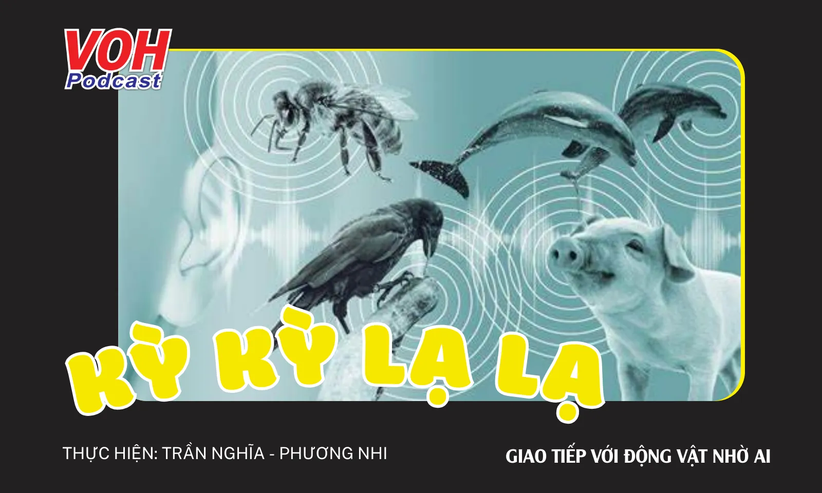 AI - Chìa khóa giúp con người giao tiếp với động vật