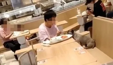 350-1721032664872-17210326651894