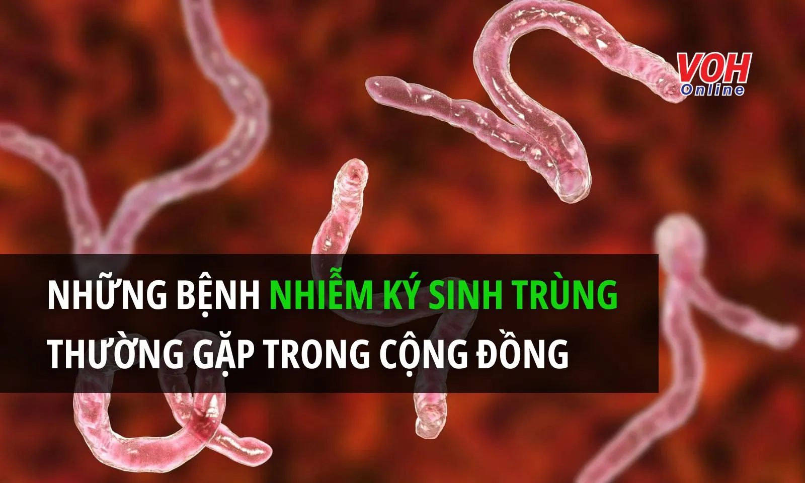 Một số bệnh ký sinh trùng thường gặp 