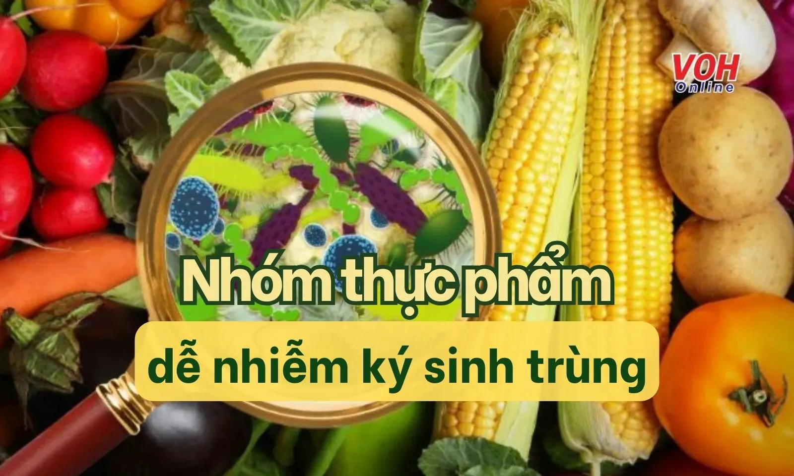 Những loại thực phẩm dễ nhiễm ký sinh trùng