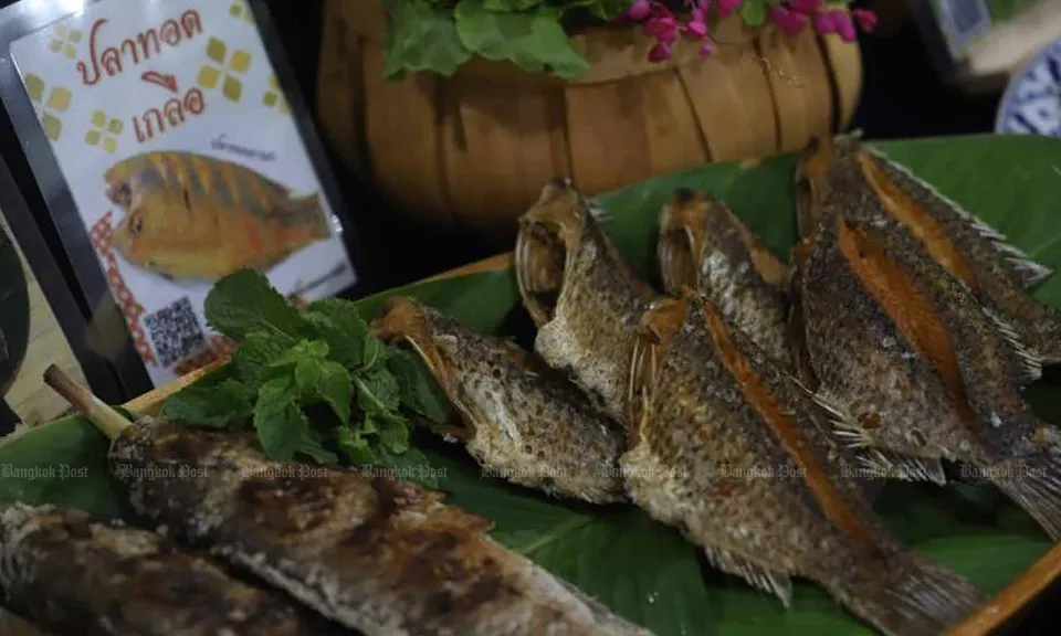 Thái Lan thả 250.000 con cá biến đổi gen để kiểm soát cá rô phi đen xâm lấn