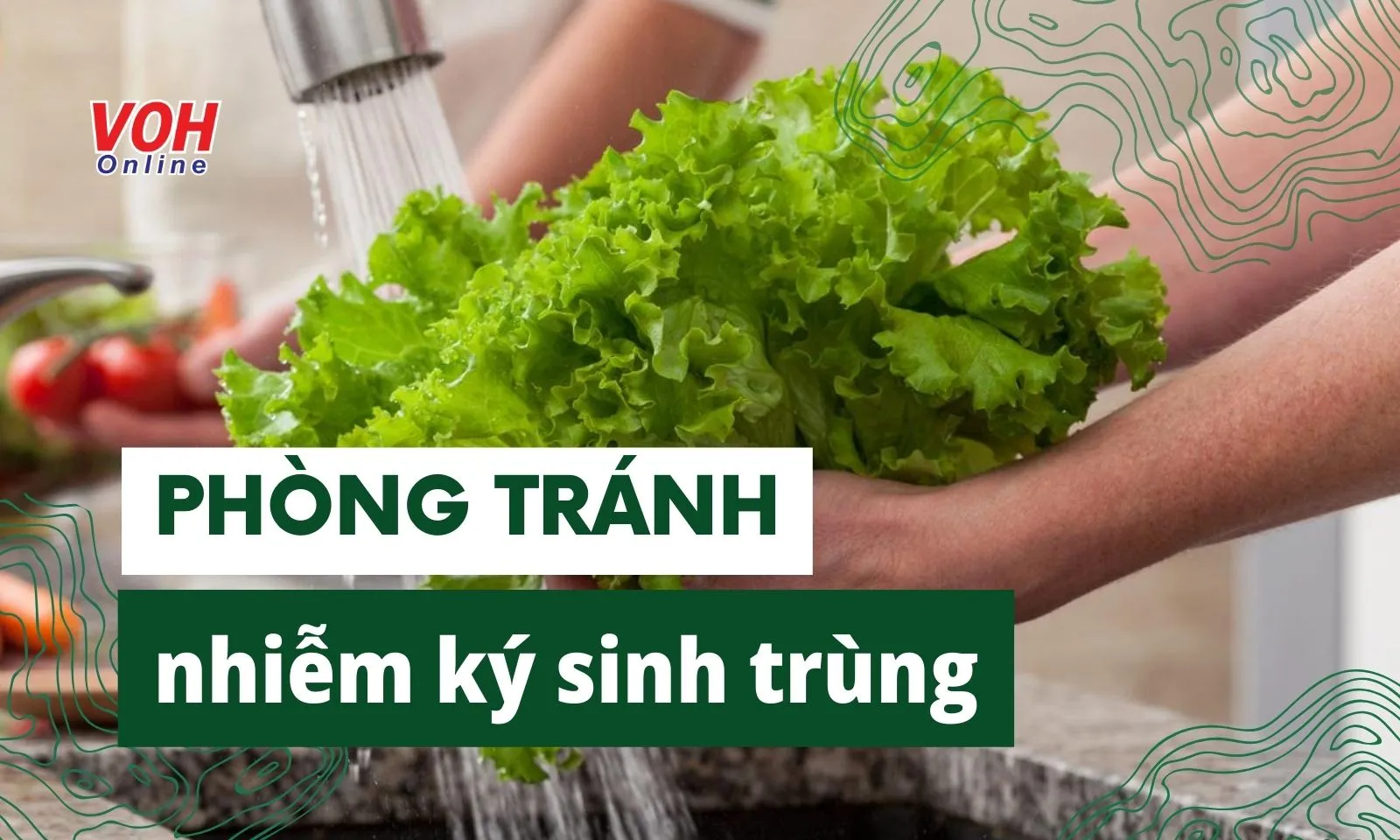 Cách phòng tránh các bệnh ký sinh trùng thường gặp