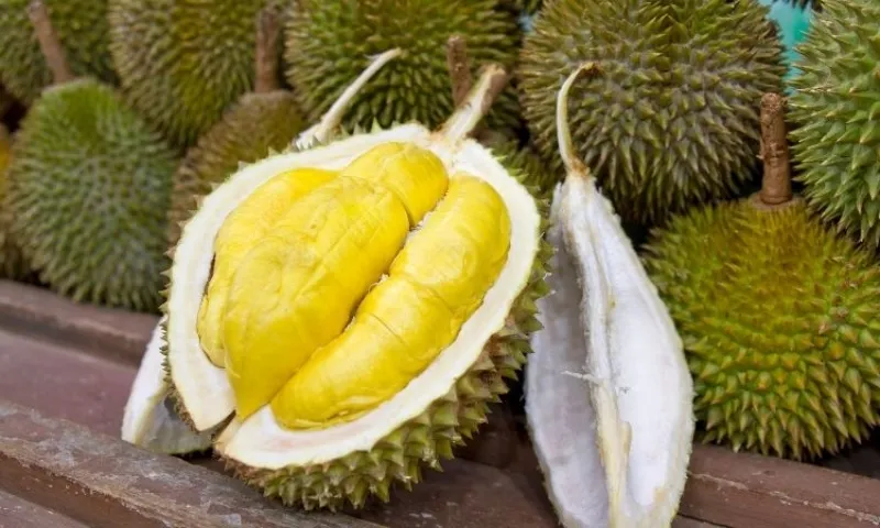 Sau riengbggg khuyen mai