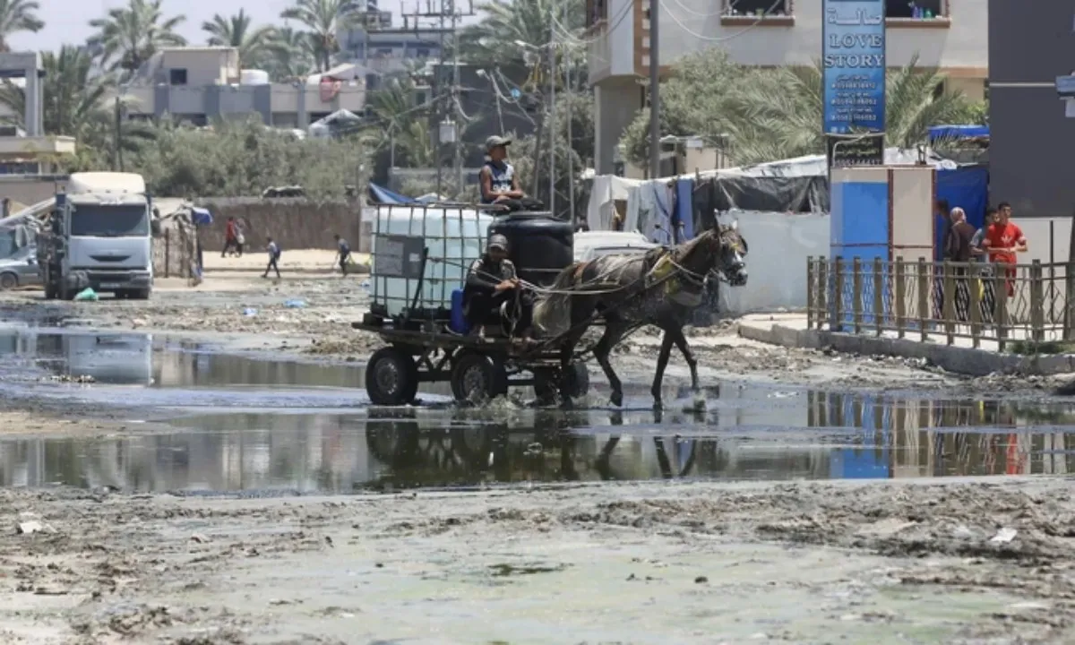 Nguy cơ bùng phát virus bại liệt lây nhiễm cao ở Dải Gaza