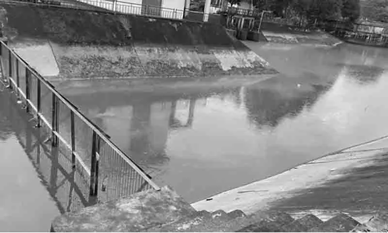 Nước kênh tiêu 19 - 5 đổi màu tím bất thường vào chiều 14 7