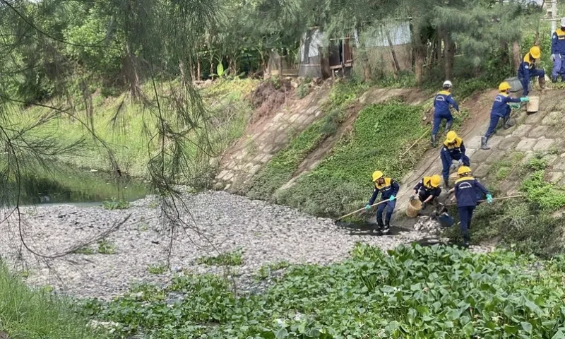 Cá chết hàng loạt, nổi trắng mặt kênh thoát nước tại Đà Nẵng