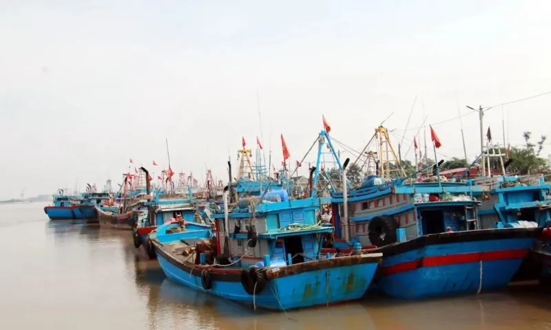 Nhiều tỉnh thành cấm biển để ứng phó với cơn bão số 2