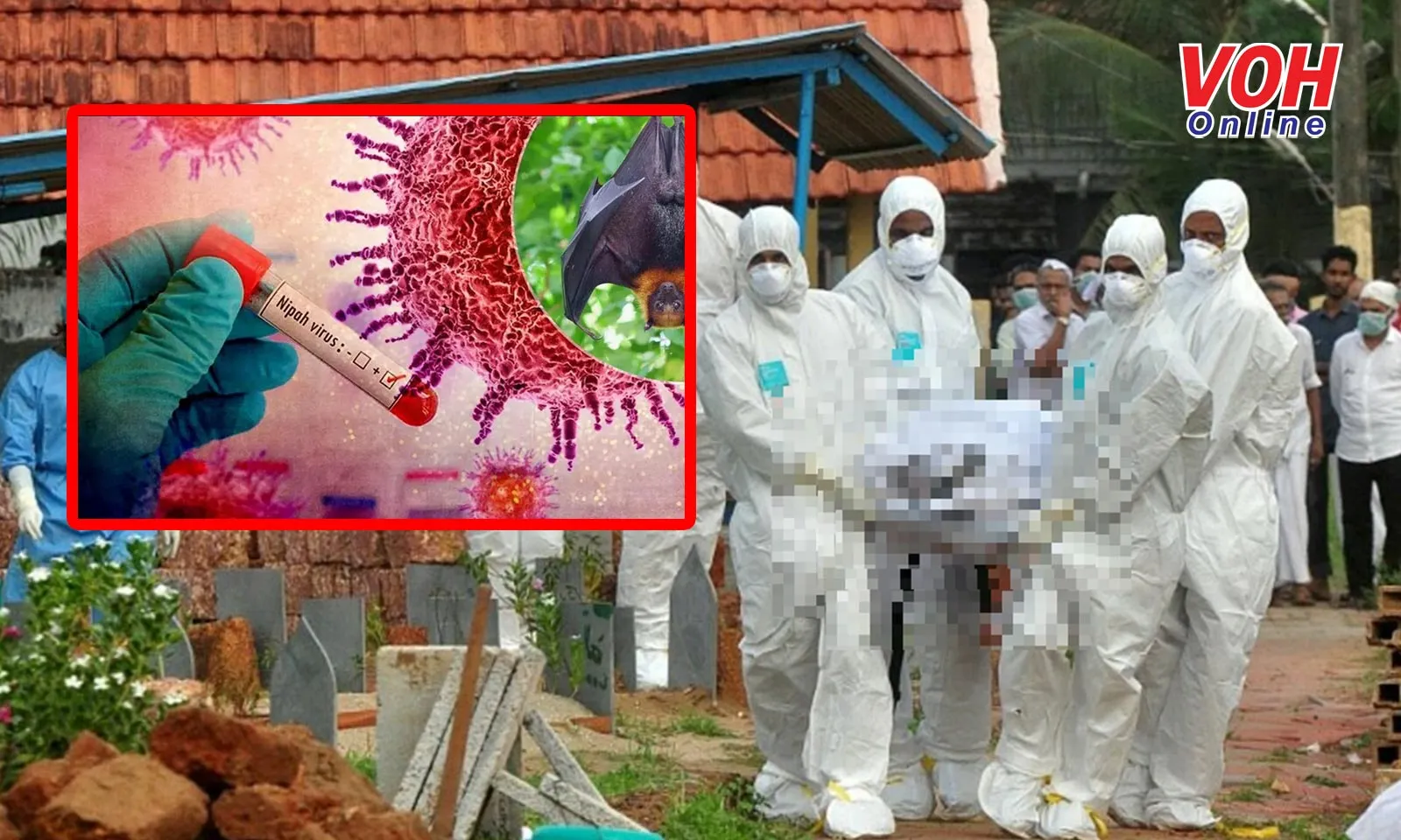 Bộ Y tế Ấn Độ ghi nhận ca tử vong do virus Nipah 