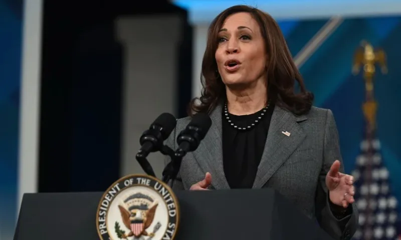 Bầu cử Mỹ: Bà Kamala Harris có đủ sự ủng hộ để nhận được đề cử