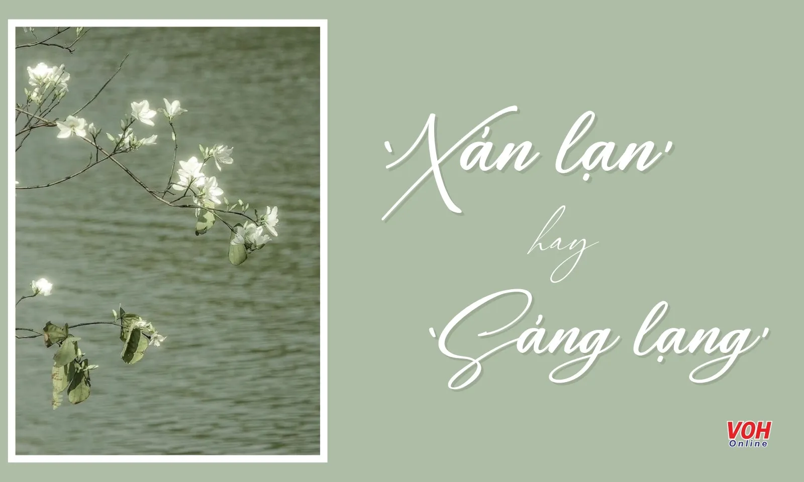 Xán lạn hay sáng lạng, đâu mới là từ viết đúng?