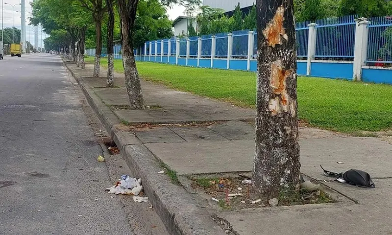 Nữa đêm, xe máy chở 3 đâm vào gốc cây, 2 thanh niên tử vong tại chỗ