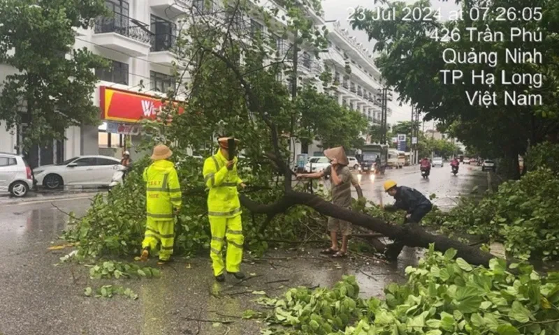 CSGT TP Hải Phòng và các lực lượng nhanh chóng dọn dẹp cây đổ trên các tuyến đường VGP