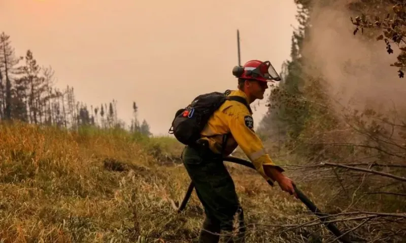 Hàng ngàn người phải sơ tán vì cháy rừng ở bang California