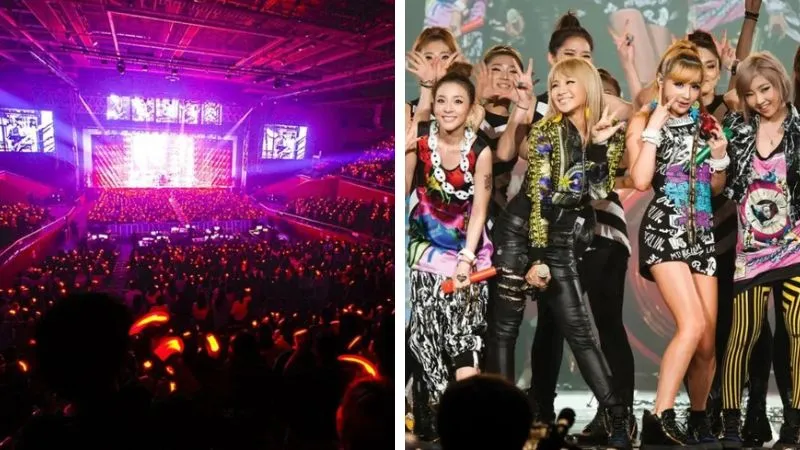 gia-ve-concert-cua-2ne1-gay-tranh-cai (3)