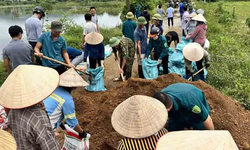 Gia cố đê Đồng Lọng ngăn lũ lụt ở ngoại thành Hà Nội
