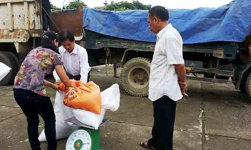 Cao Bằng phát 845 tấn gạo cứu đói thời điểm giáp hạt 2024