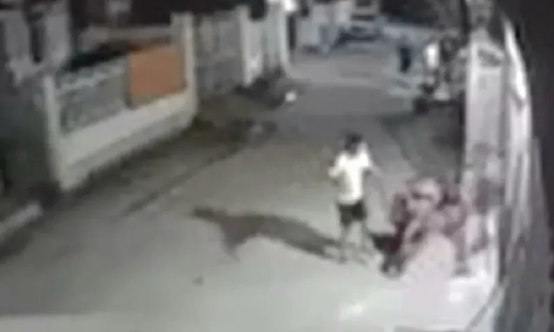 Nam thanh niên chém mẹ và dì ruột trong đêm