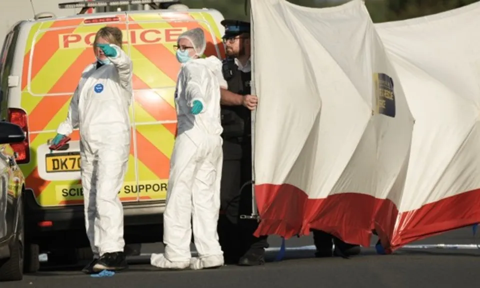 tan-cong-bang-dao-300724