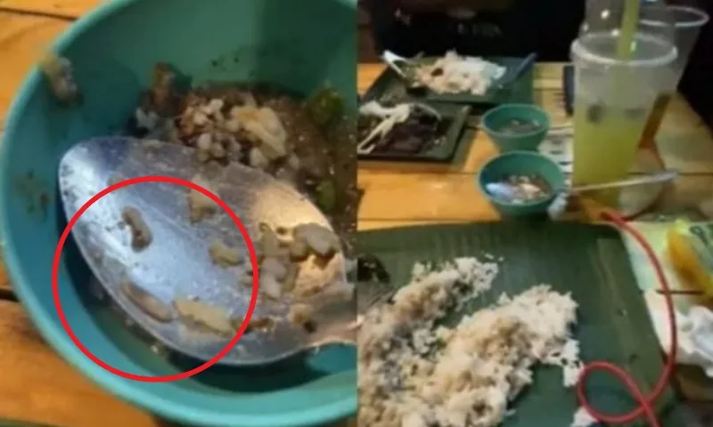 Người đàn ông có trải nghiệm kinh hoàng khi ăn cơm thịt cừu 
