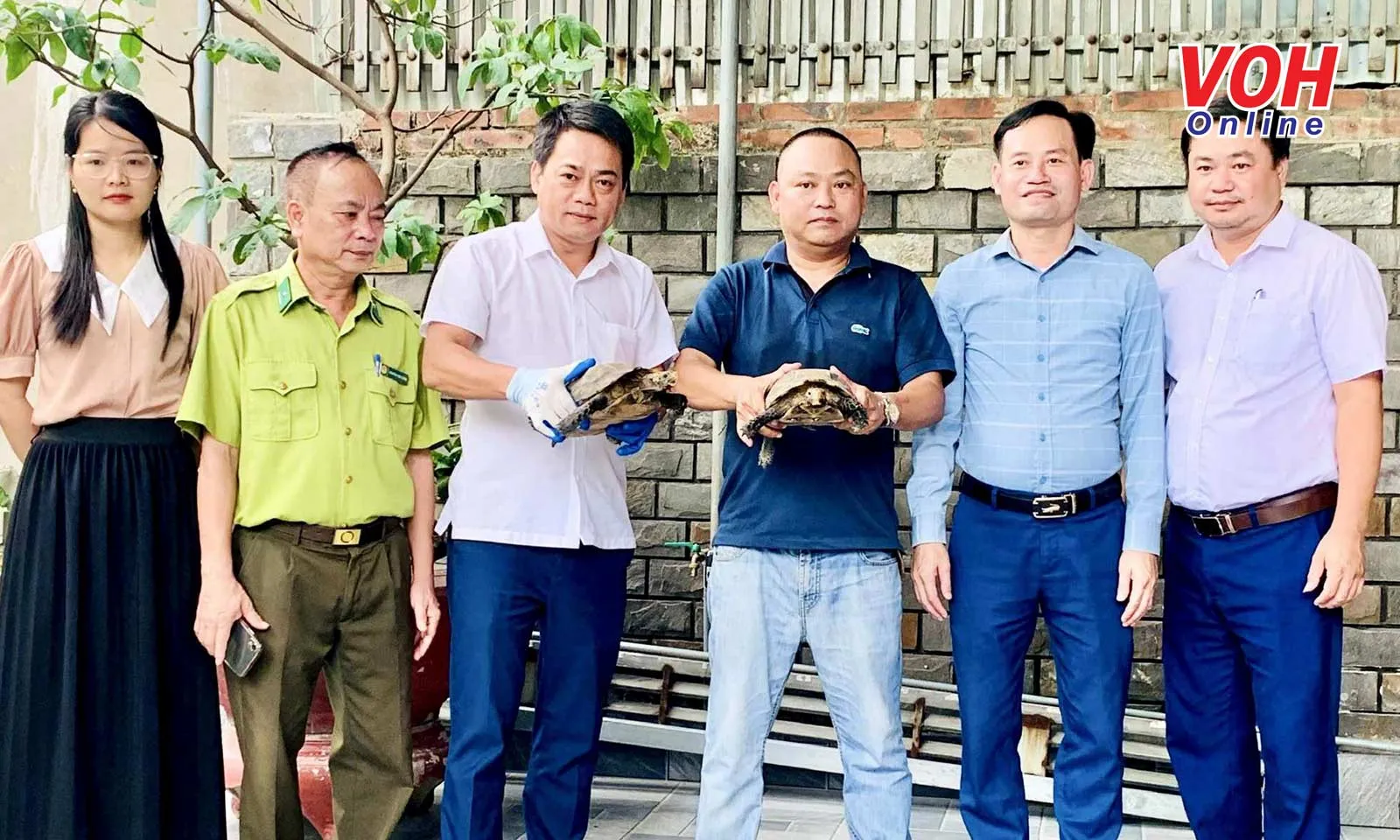 Bắt gặp rùa quý nối đuôi nhau bò ngang đường, người dân Hà Tĩnh giao nộp thả về tự nhiên