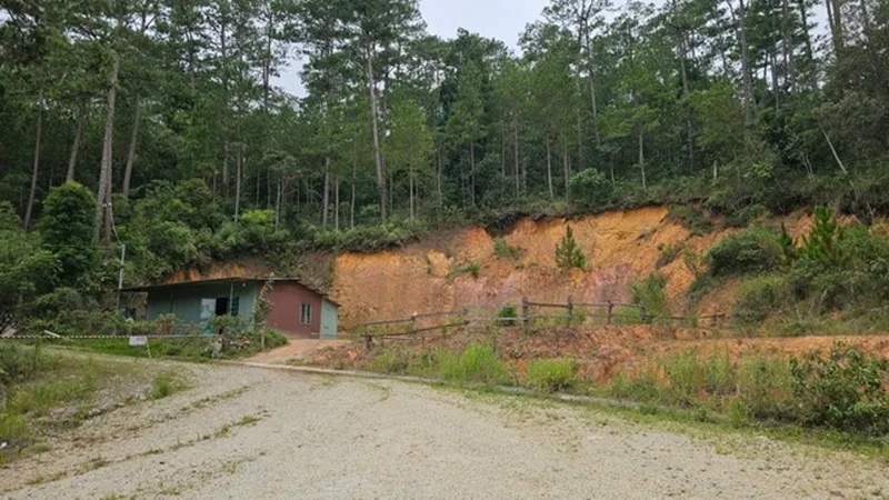 z5686128411608-bc5c75cb87a38670be2dd01f335c8c71-8783