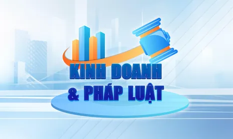 Thực hiện quy định “chủ sở hữu hưởng lợi” nhằm tăng tính minh bạch trong hoạt động của doanh nghiệp