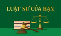 Tháo gỡ vướng mắc cùng Luật sư Trương Minh Tùy, Đoàn Luật sư TP.HCM