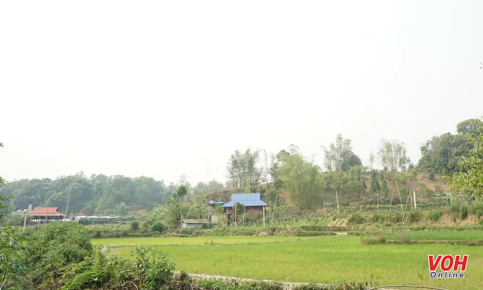 Điều kiện chuyển mục đích sử dụng đất trồng lúa