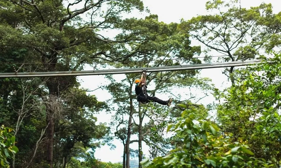 Hai du khách Trung Quốc thương vong trong vụ tai nạn kinh hoàng ở Chiang Mai