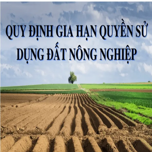 gia-han-quyen-su-dung-dat-min