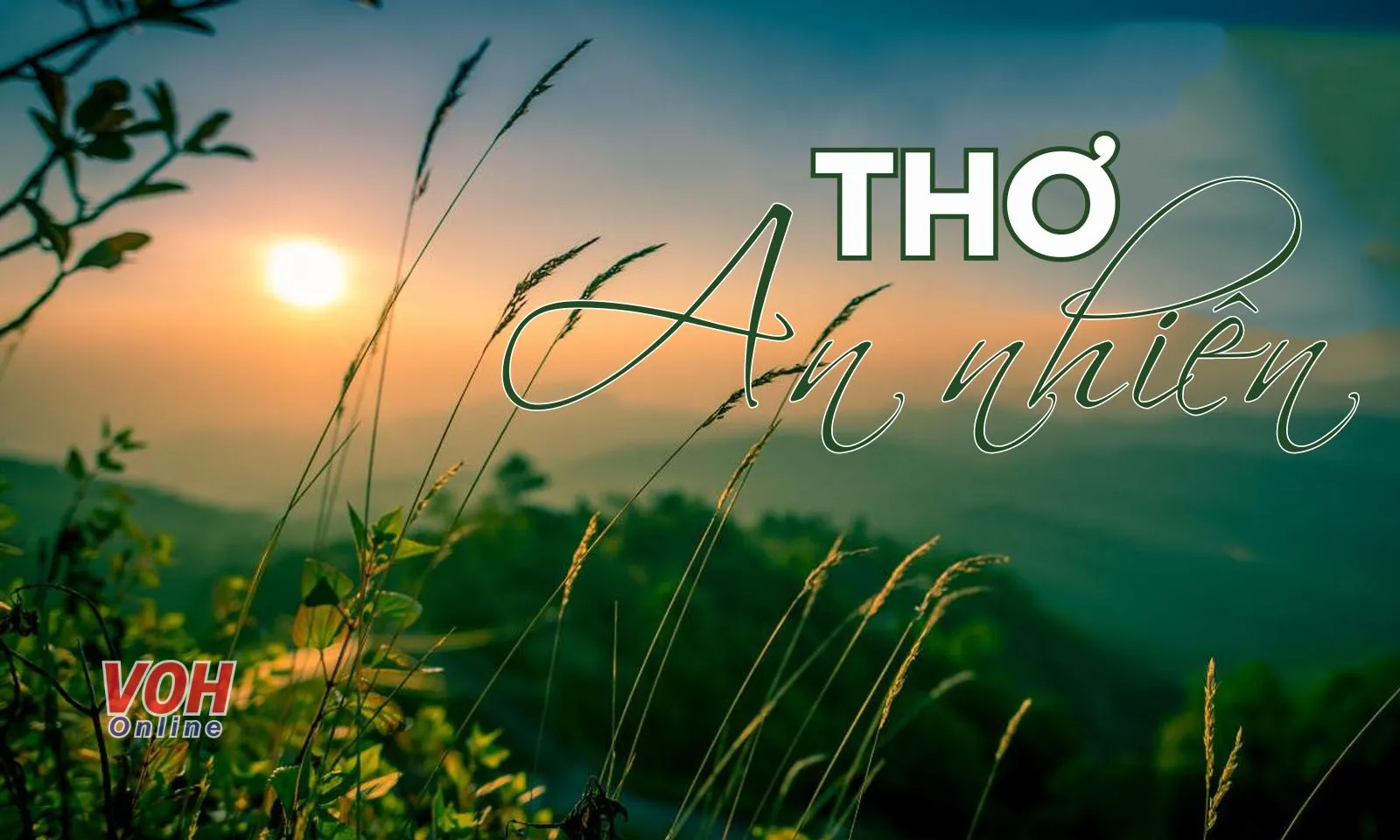 Tuyển tập thơ an nhiên thổi bay mọi ưu phiền