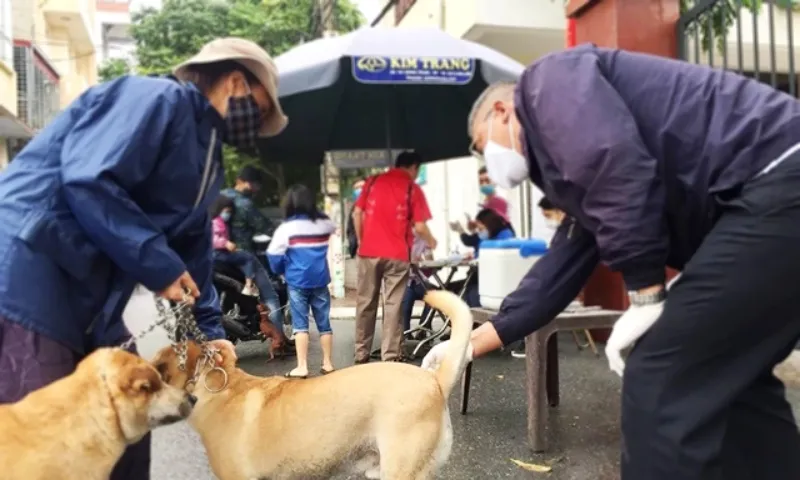 Hà Nội: Nhiều người bị chó dại cắn