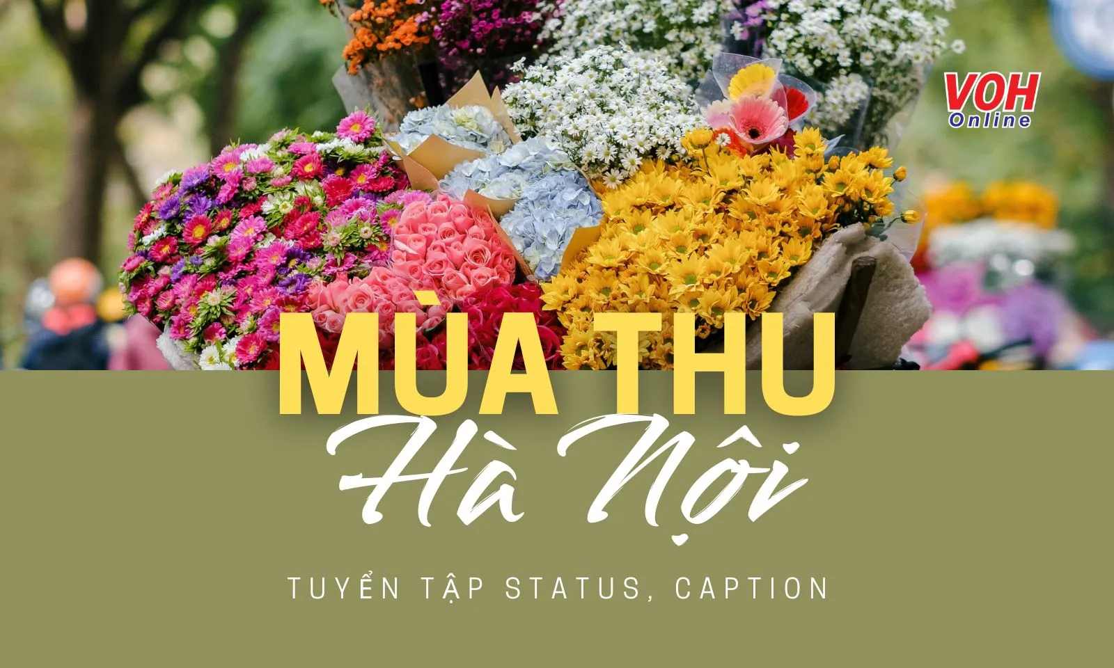 60 status mùa thu Hà Nội dịu dàng, lãng mạn và đầy suy tư