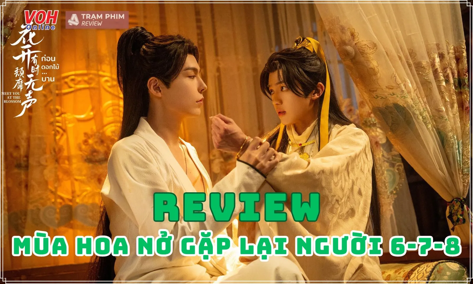 Mùa Hoa Nở Gặp Lại Người tập 6-7-8: Tiểu Bảo bị phản bội, bị thương chí mạng