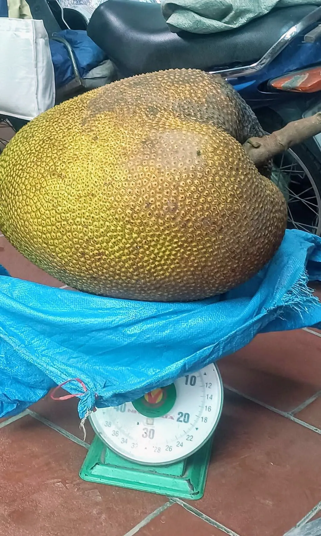 4542339464819967512035995996727556474094130n-17230041828131590886846-1723012576231-17230125765441789128450