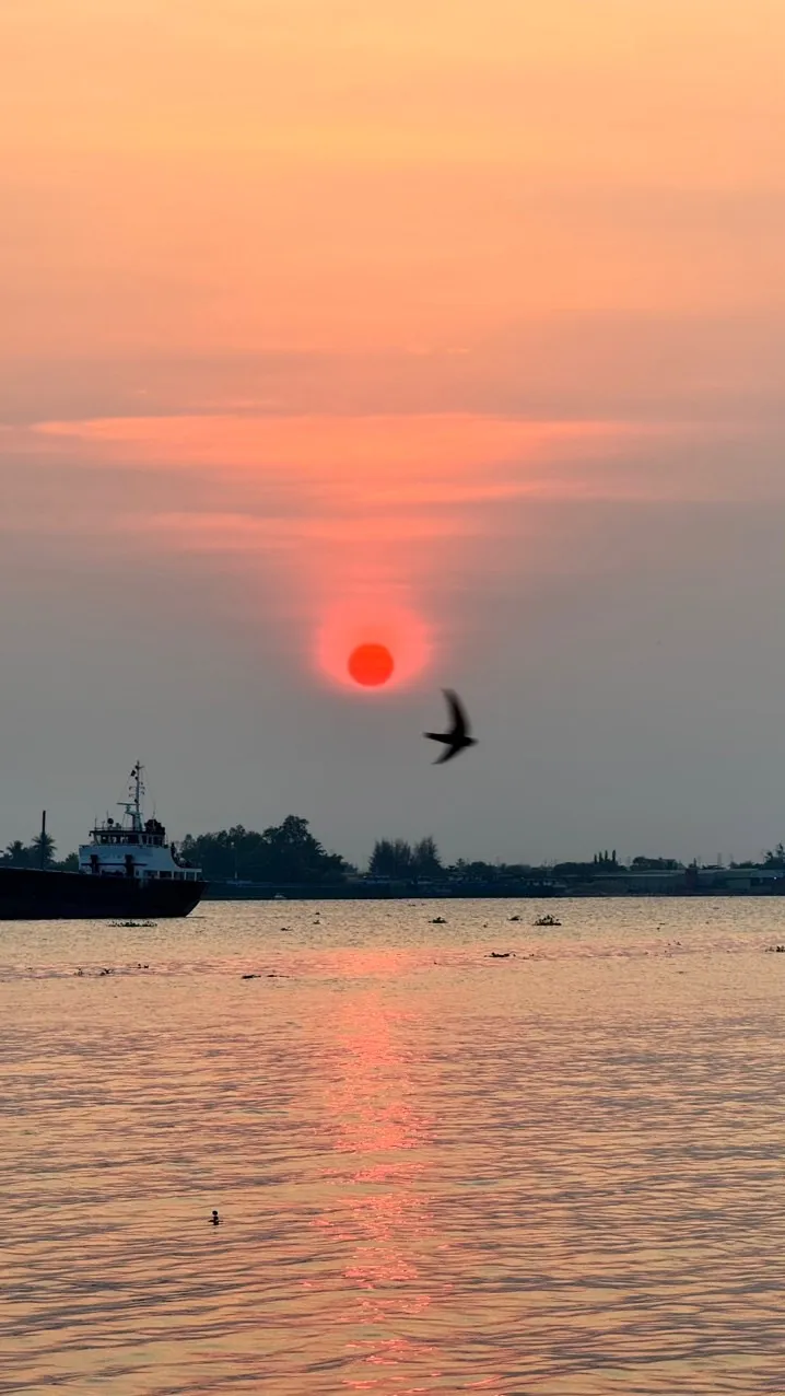 Ngắm hoàng hôn trên sông hậu (1)