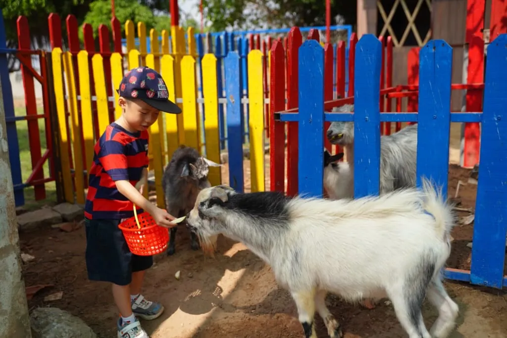 z5188013511495_3f57d2a0a4b275917d40f168871e3213-1024x684